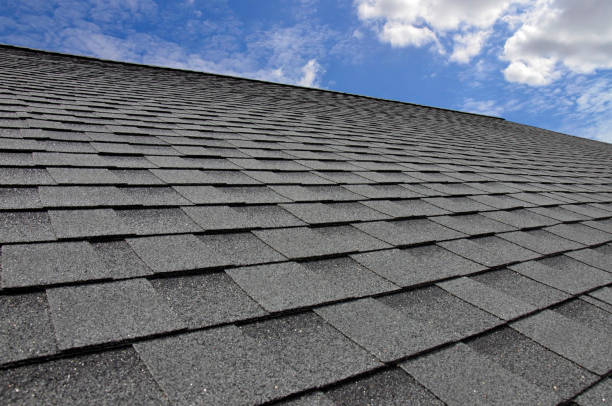 Best Solar Panel Roofing Installation  in Kingsville, TX